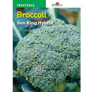 Broccoli Sun King Hybrid Seed