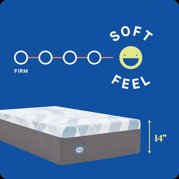 Dreamlife Queen Soft Memory Foam 14 in. Bed-in-a-Box Mattress