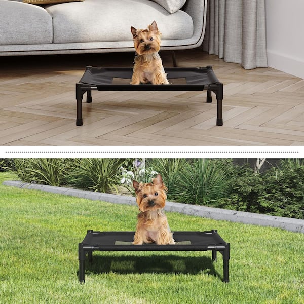 Portable raised dog outlet bed