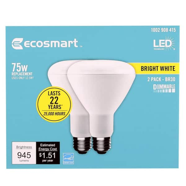 ecosmart 1003024802