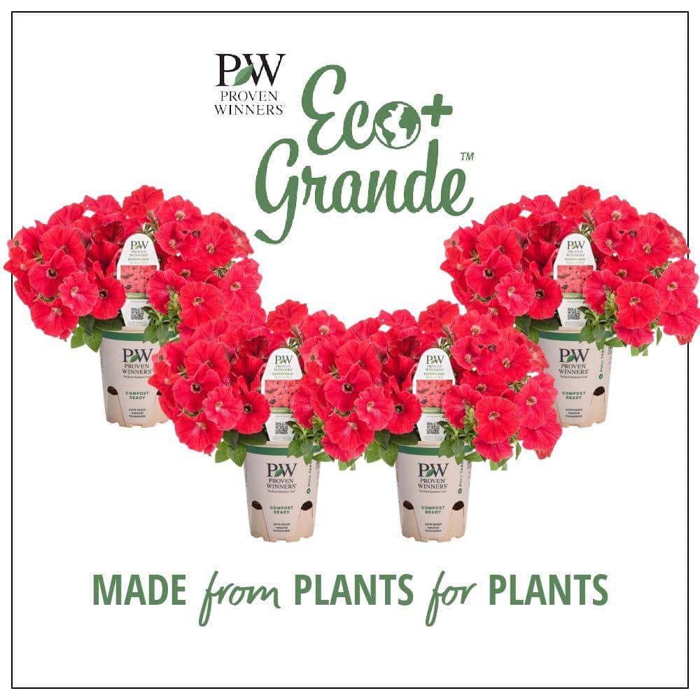 PROVEN WINNERS 4.25 in. Eco+Grande Supertunia Really Red (Petunia