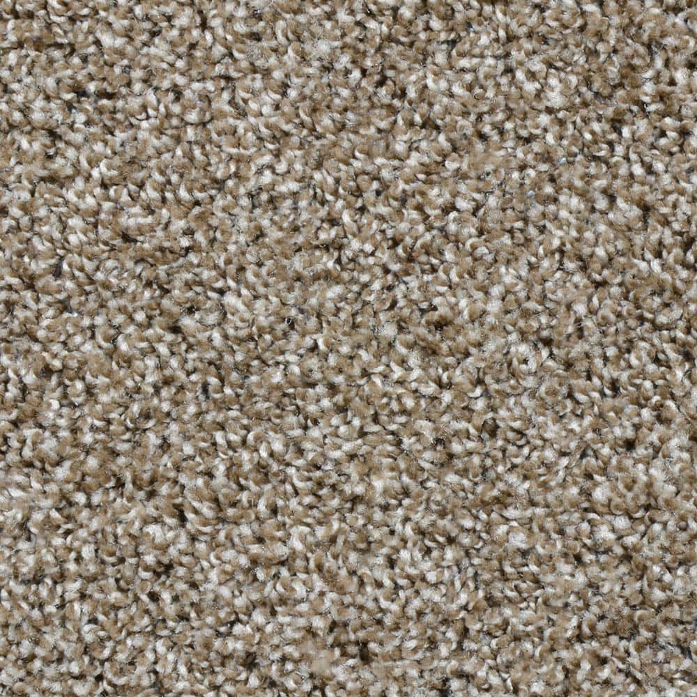 8 in. x  8 in. Texture Carpet Sample - Dignified -Color Palisades price history on PriceWatchPro
