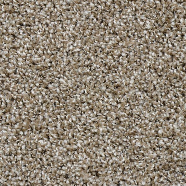 TrafficMaster 8 in. x 8 in. Texture Carpet Sample - Dignified -Color Palisades
