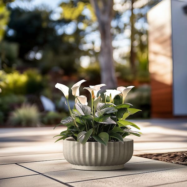 21 in. Large Light Gray Concrete Round Planter / Pot with Drainage Holes