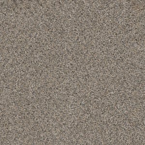 Otis - Wealthy - Gray 40 oz. SD Polyester Texture Installed Carpet