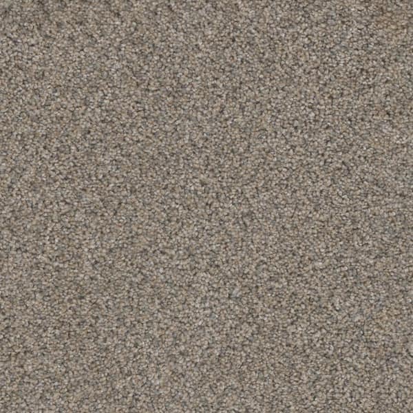 TrafficMaster Otis - Wealthy - Gray 40 oz. SD Polyester Texture Installed Carpet