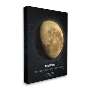 "Earth's Moon Celestial Facts Outer Space" by Design Fabrikken Unframed Astronomy Canvas Wall Art Print 16 in. x 20 in.
