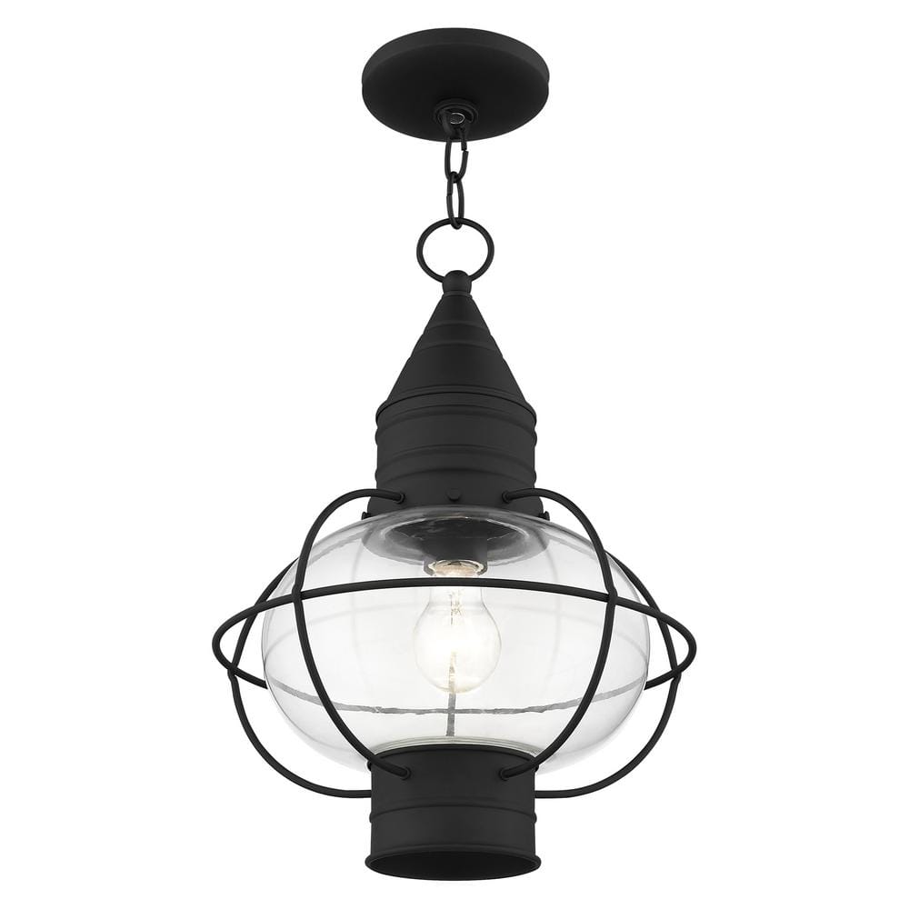 Black Nautical Outdoor Pendant Light with Clear Glass Globe