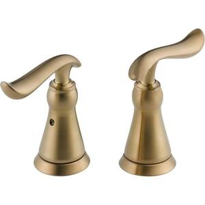 Pair of Linden Lever Handles in Champagne Bronze