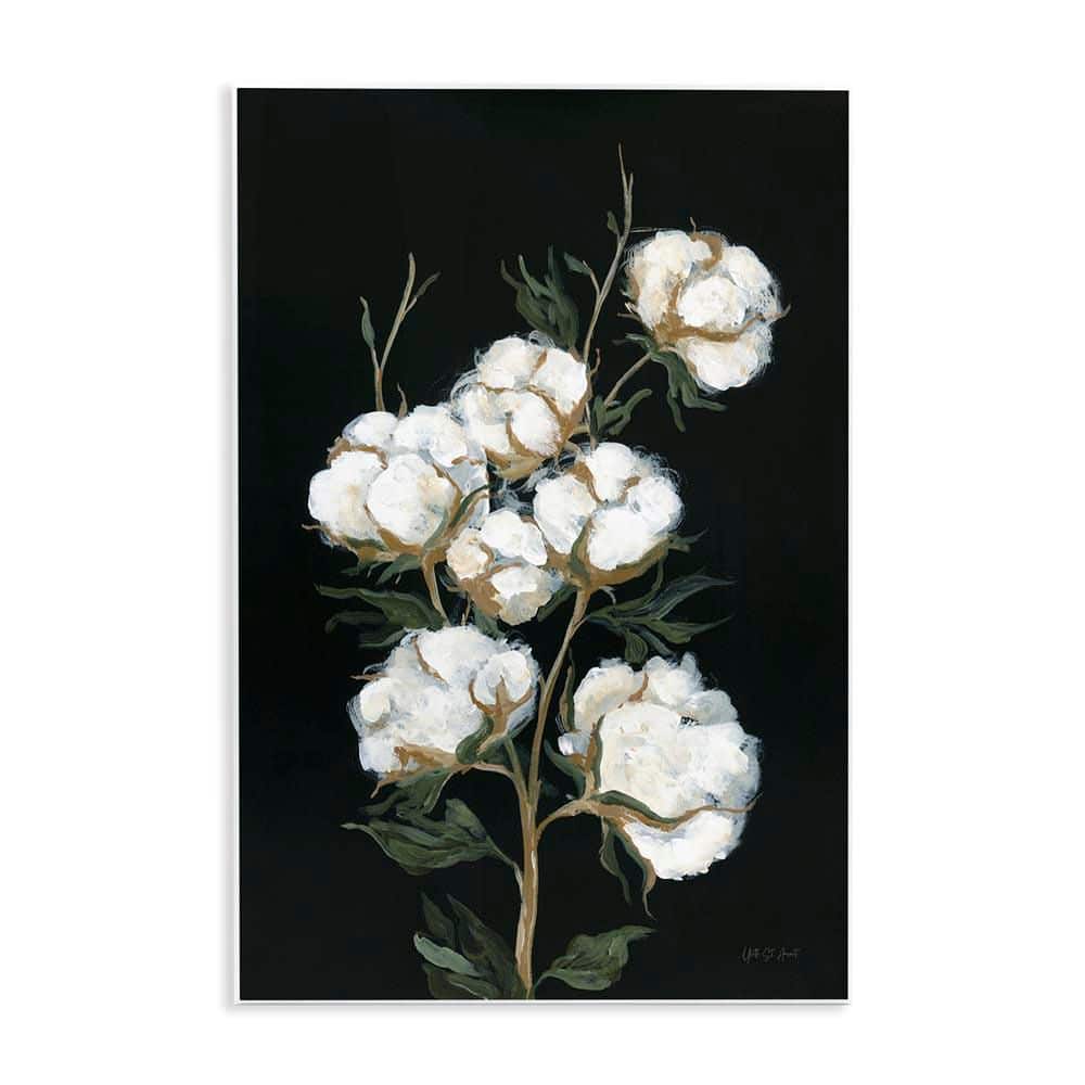 Vintage Stems of Cotton by Yvette St. Amant Unframed Nature Graphic Art Print 15 in. x 10 in. price history on PriceWatchPro