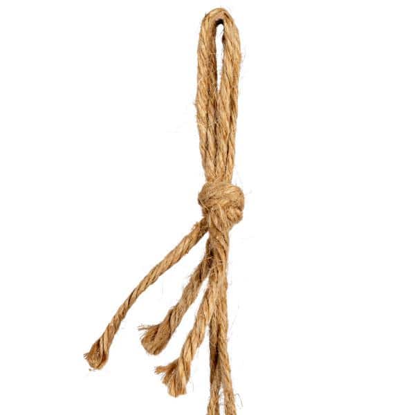 Ivory Stoneware Seashell Hanging Planter with Rope
