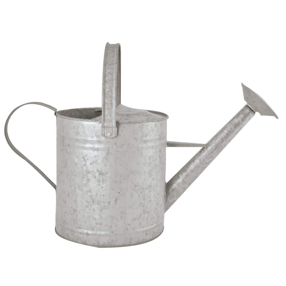 Medium Galvanized Zinc Metal Watering Can with Nozzle