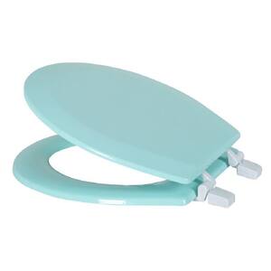 Round Beveled Edge Closed Front Toilet Seat with Easy Clean and Change Hinges in Mint