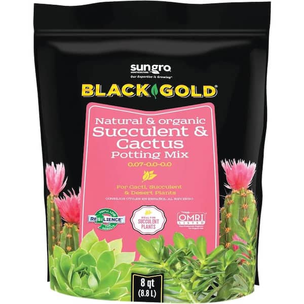 Succulents - Organic Soil - The Home Depot