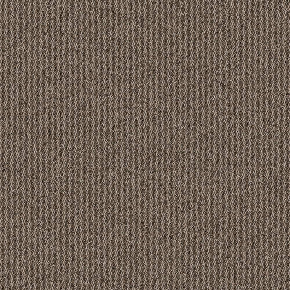 8 in. x 8 in. Looped Carpet Sample -Rules Of Conduct -Color Praline price history on PriceWatchPro