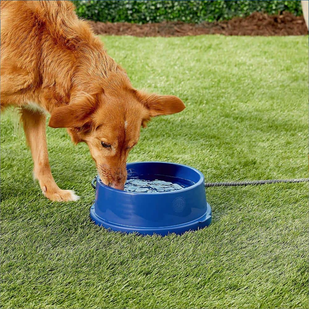 Blue Stainless Steel Heated Pet Water Bowl, 96 Ounces