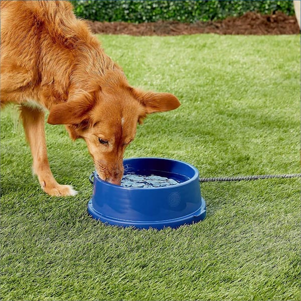 K&h Pet Products Cleanflow Filtered Water Bowl For Dogs Granite