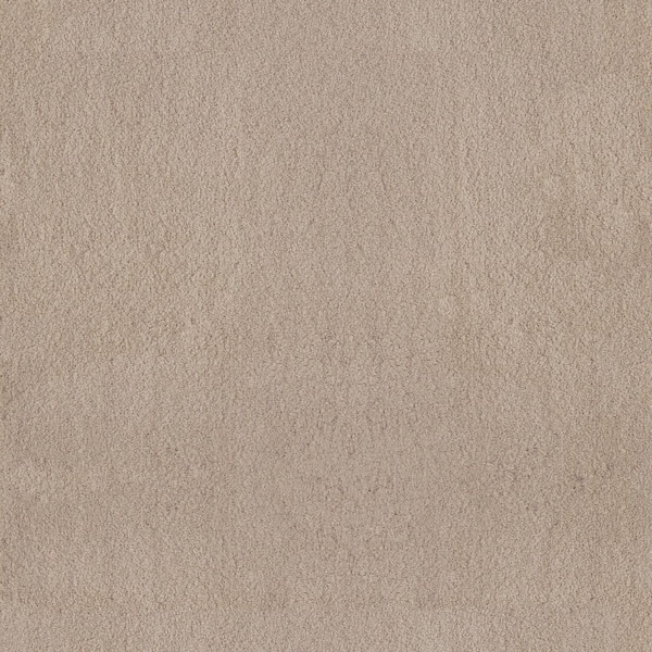 Dreamy Daze II Antique Linen Beige 66 oz. Nylon Texture Carpet - Installation Required