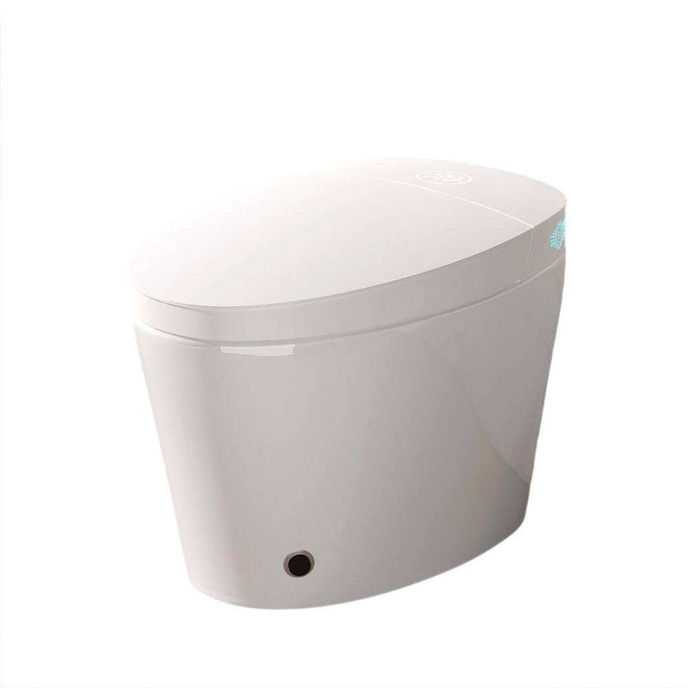 Elongated Smart Bidet Toilet 1.28 GPF in White with Auto Flush, Foot Kick, Heated Seat, 4 Washing Modes, Night Light price history on PriceWatchPro