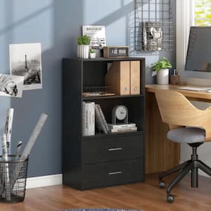 Quincy 23.7 in. Tall Stackable Black Engineered wood 2-Shelf Modern Modular Bookcase