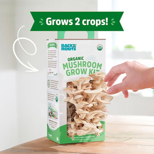 How to Grow Mushrooms - The Home Depot