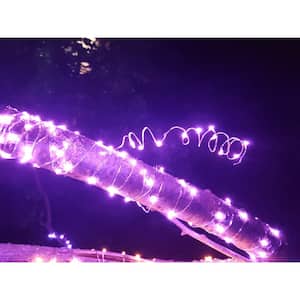 Outdoor 100-Light 20 ft. Solar Pink Integrated LED String Light (4-Pack)