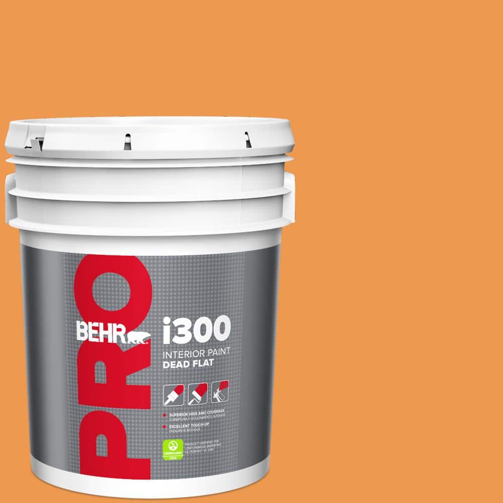 5 gal. #270B-6 Autumn Orange Dead Flat Interior Paint price history on PriceWatchPro