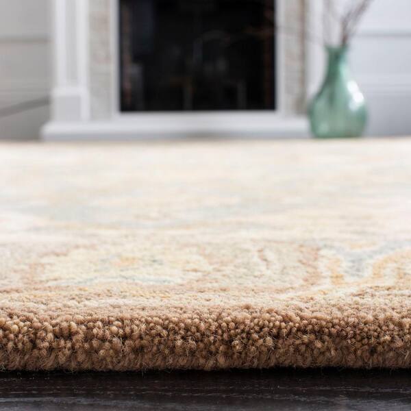 https://images.thdstatic.com/productImages/ec492f31-2a77-4cea-a10e-31c748d976d8/svn/teal-camel-safavieh-area-rugs-an558d-6-4f_600.jpg