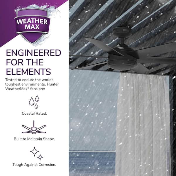 Hunter - Jetty 52 in. Outdoor Matte Black Ceiling Fan with Wall Control For Patios or Bedrooms