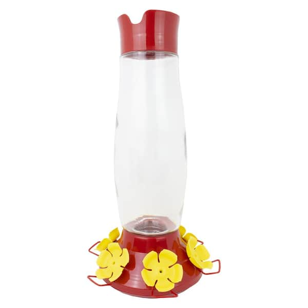 Petsmart shop hummingbird feeders