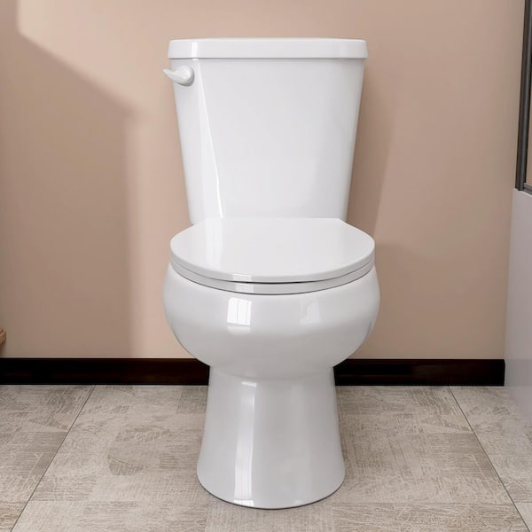 Zeafive 2-Piece Toilets Single Flush Elongated Two Piece