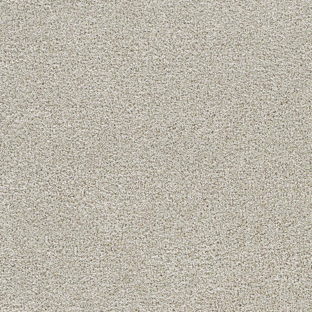 8 in. x 8 in. Texture Carpet Sample - Evermore I - Color Forever price history on PriceWatchPro