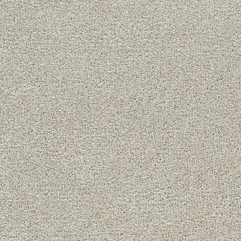 8 in. x 8 in. Texture Carpet Sample - Evermore II - Color Forever price history on PriceWatchPro