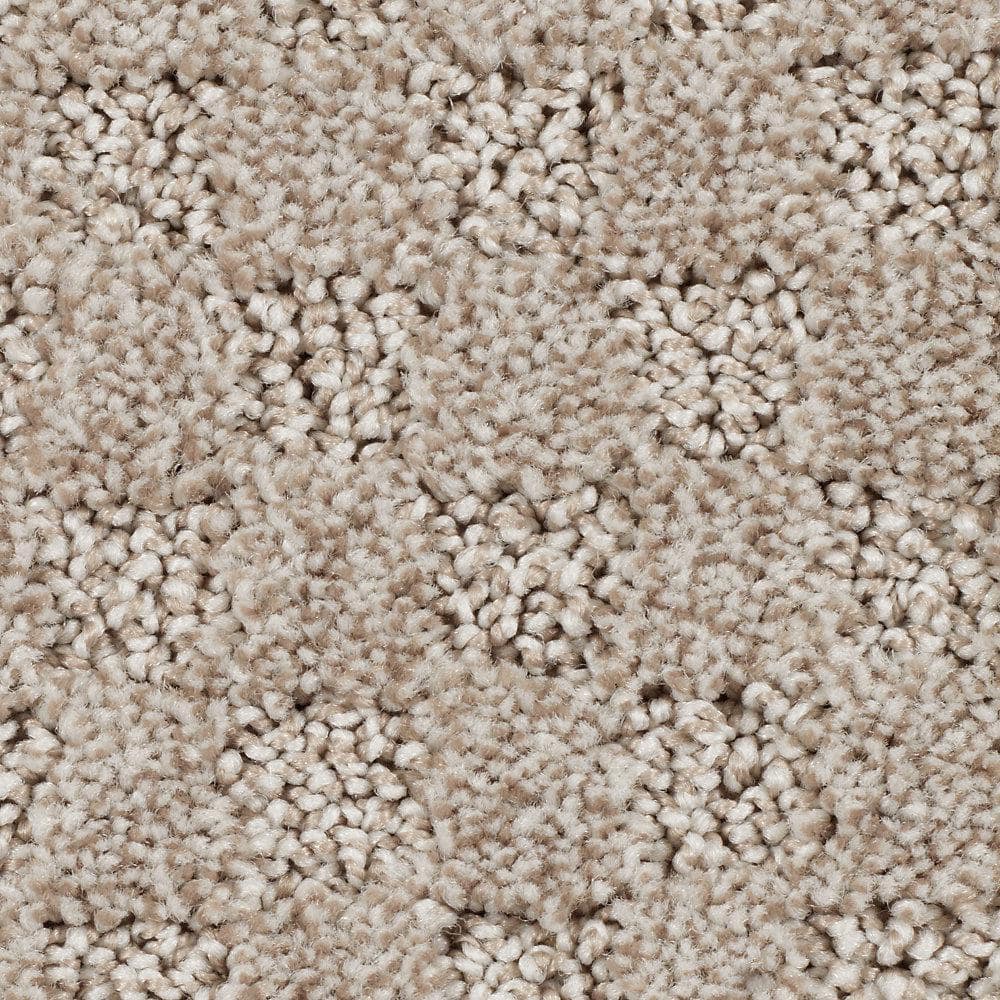 8 in. x 8 in. Pattern Carpet Sample - Shiloh Point -Color Cavern price history on PriceWatchPro