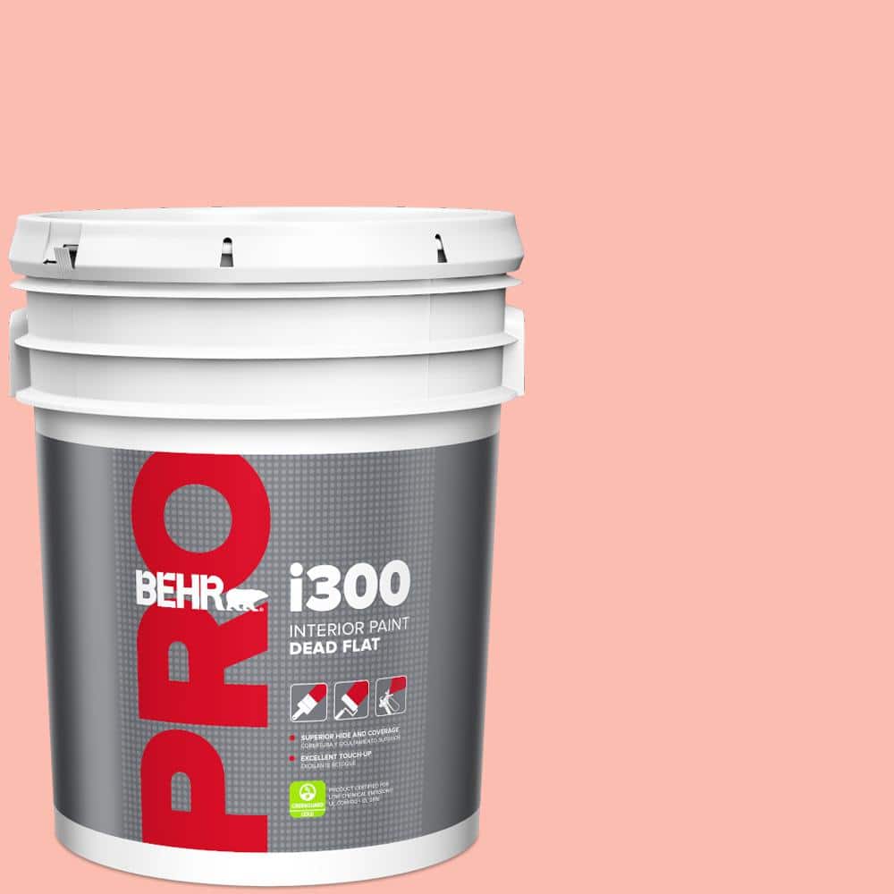 5 gal. #190C-3 Sweet Nectar Dead Flat Interior Paint price history on PriceWatchPro