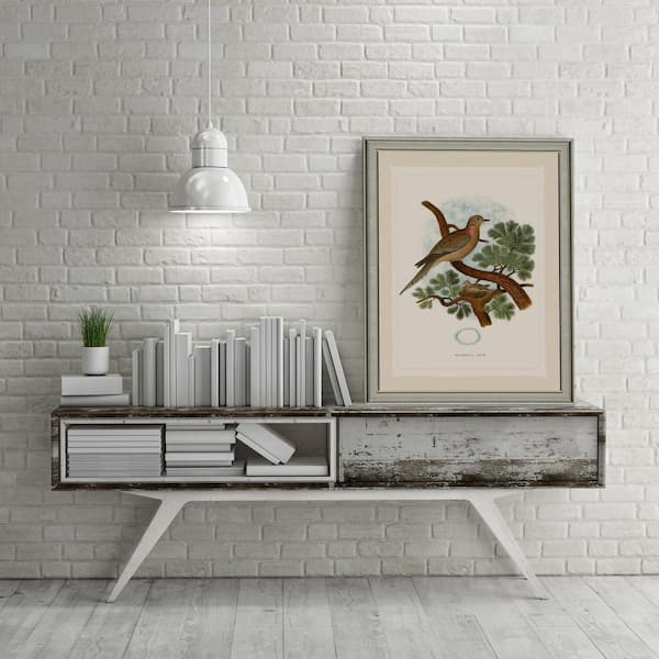 Vintage Print Gallery Dove Framed Paper 