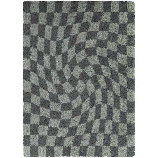 Luther Sage 5 ft. x 7 ft. Checkered Area Rug