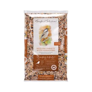 10 lb Wild Bird Seed Wild Bird Seed Food