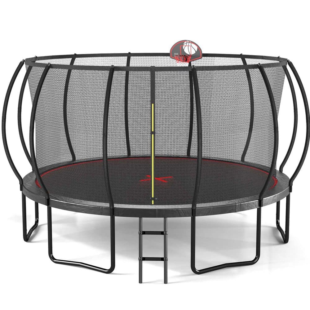 【最安値‼️】ROUND TRIP BASKET 41TsWq6sHbL._AC_SS250_.jpg