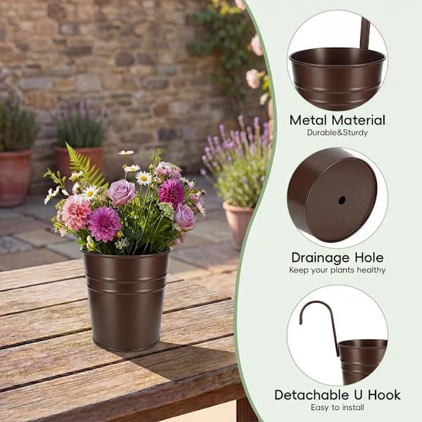 english lavender plant Seed Savers Herb