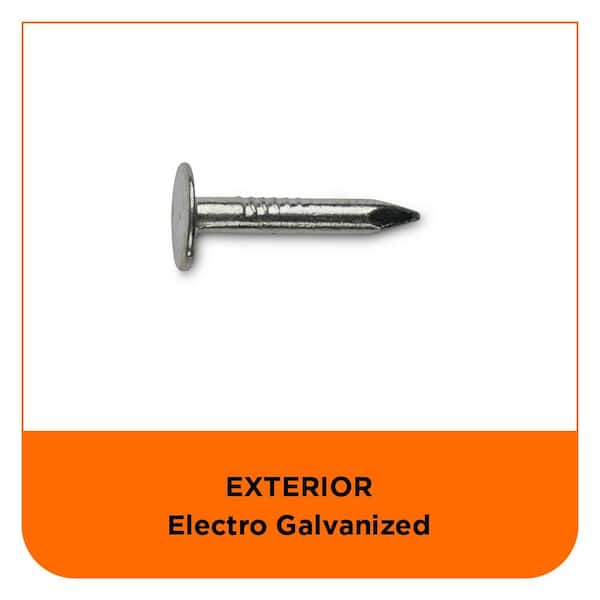 PRO-FIT 3/4 in. Electro-Galvanized Roofing Nail 1 lb. (323-Count) 0132038 -  The Home Depot