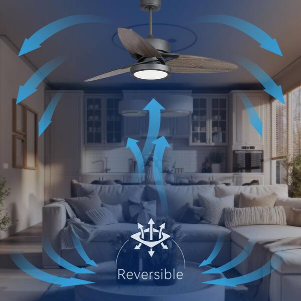 ✨ うじ✨ Amazon.com: NJNJGO Skeleton Zip Up Hoodie Men Women Y4K