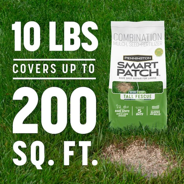 Pennington Smart Patch Tall Fescue 10 lb. 200 sq. ft. Grass Seed 