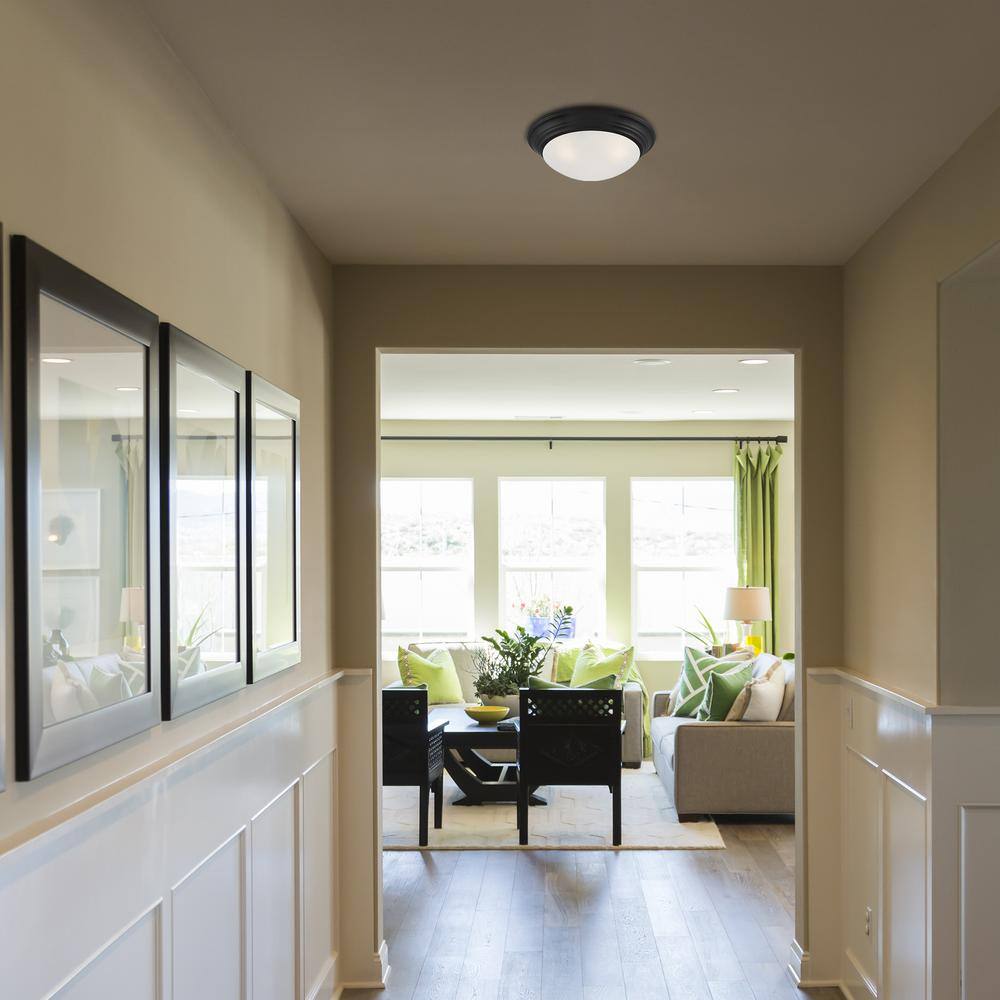 Matte Black Modern 16.75" Flush Mount Ceiling Light with Etched Glass