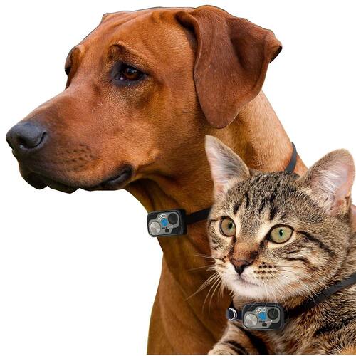 Electronic Water Resistant Extra Rugged Pet Collar Doors & Windows