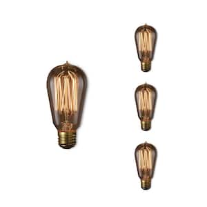 60 - Watt Equivalent ST18 Dimmable Medium Screw Decorative Incandescent Light Bulb Amber Light 2200K, 4 Pack
