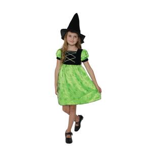 Green and Black Witch Girl Child Halloween Costume - Small