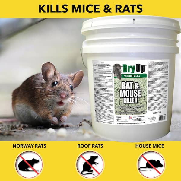 Rodent Mouse Trap Poison Mice Killer Bait Station Box with Key Refillable Indoor Outdoor Pet Safe Pack of 4