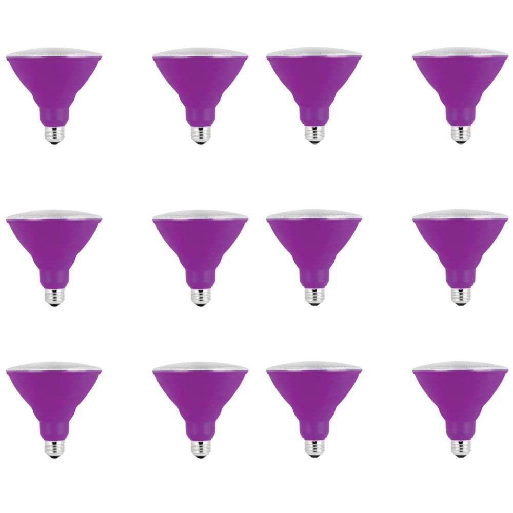 90-Watt Equivalent PAR38 Weatherproof Outdoor Landscape Purple Color LED Flood Light Bulb (12-Pack) price history on PriceWatchPro
