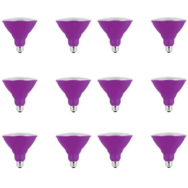 90-Watt Equivalent PAR38 Weatherproof Outdoor Landscape Purple Color LED Flood Light Bulb (12-Pack)